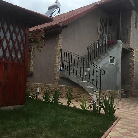 Casa Petrut Maison d'hôtes *