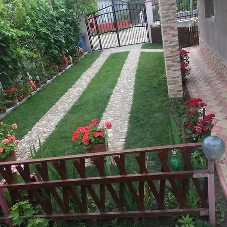 Casa Petrut Maison d'hôtes *