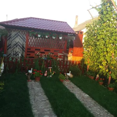 Casa Petrut Maison d'hôtes