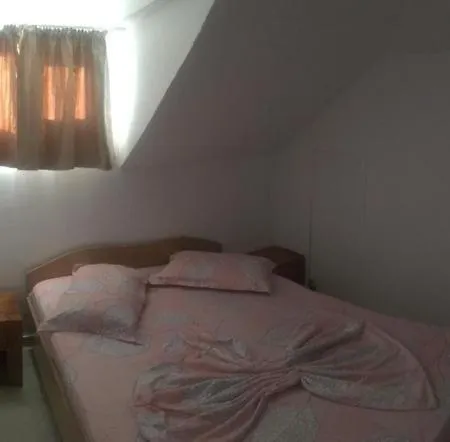 בית הארחה Casa Petrut *