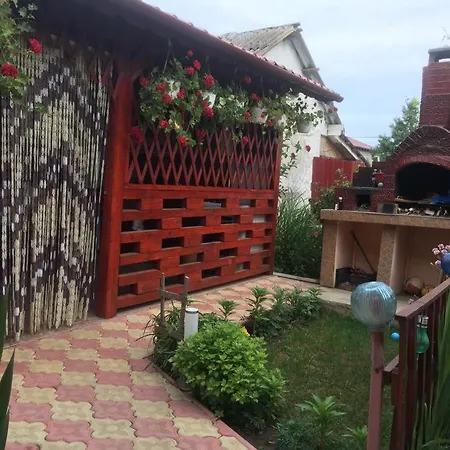 Casa Petrut *